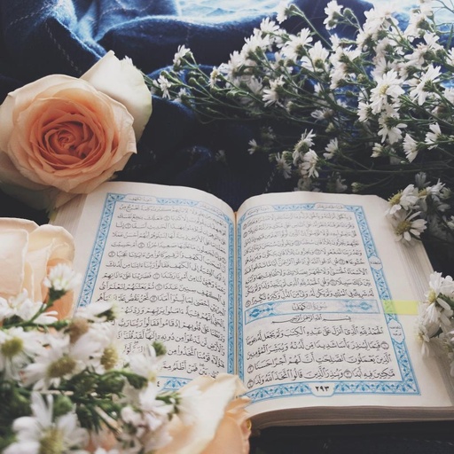 MSA for Religion Purposes